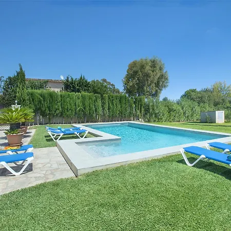 Owl Madrave - Families And Friends Pollensa