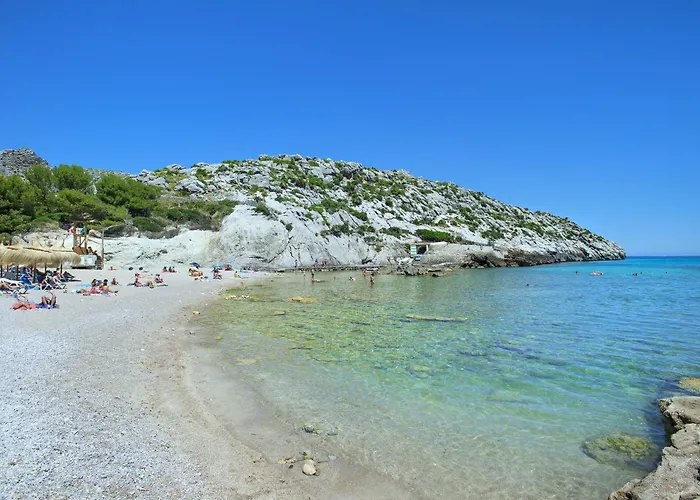 Owl Madrave - Families And Friends Pollensa