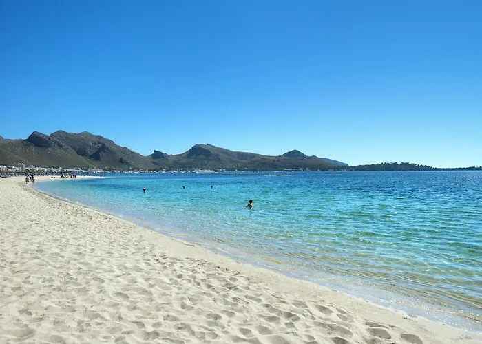 Willa Owl Madrave - Families And Friends *