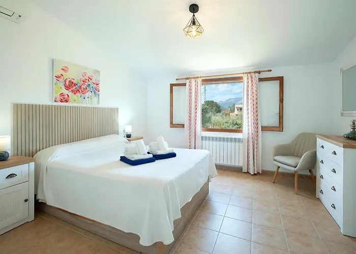 Owl Madrave - Families And Friends * Pollenca